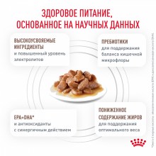 moderate calorie_5